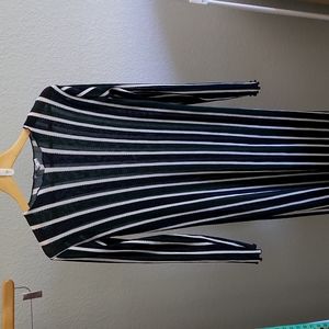 Zara Striped Sheer Dress, S